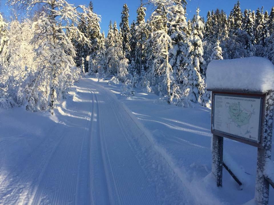 Mieps Huset Dalarna Holiday Kullen  Экстерьер фото